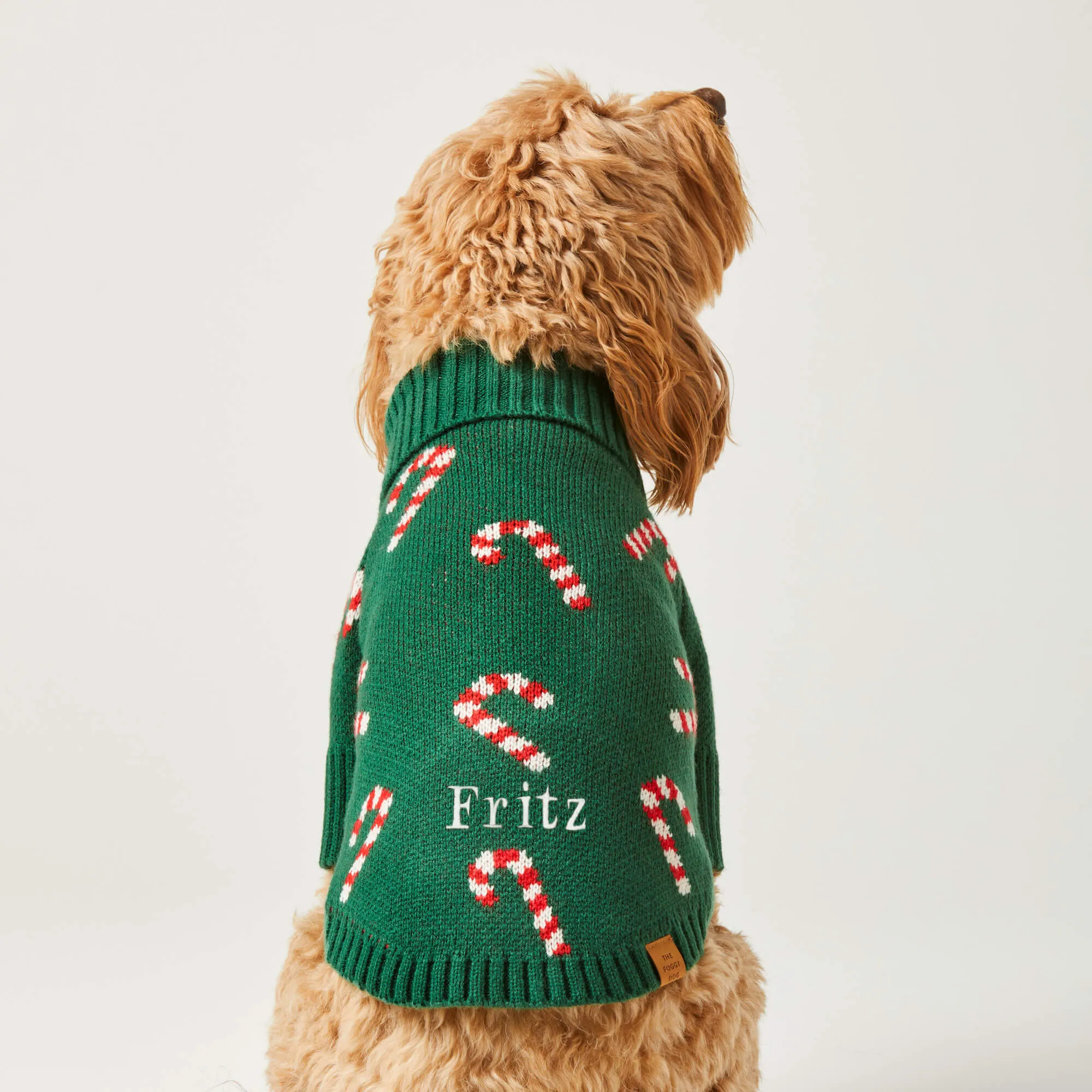 Cozy Candy Cane Dog Sweater