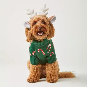 Cozy Candy Cane Dog Sweater