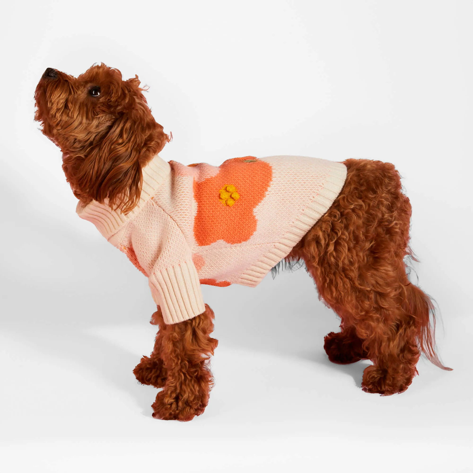 In Bloom Dog Sweater