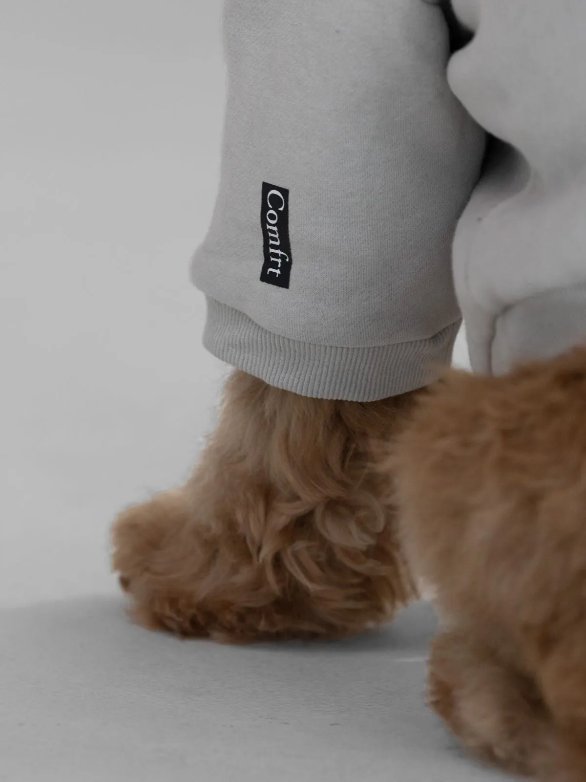 The Standard Paw Hoodie