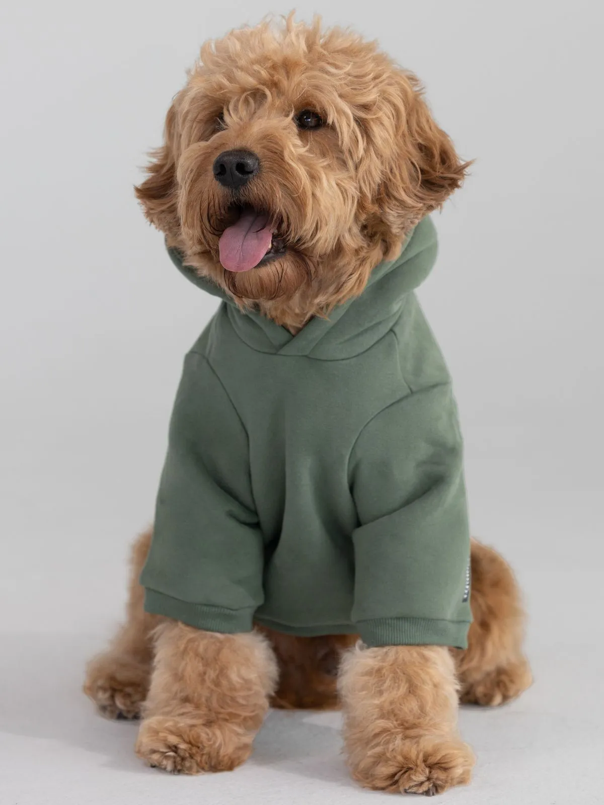 The Standard Paw Hoodie