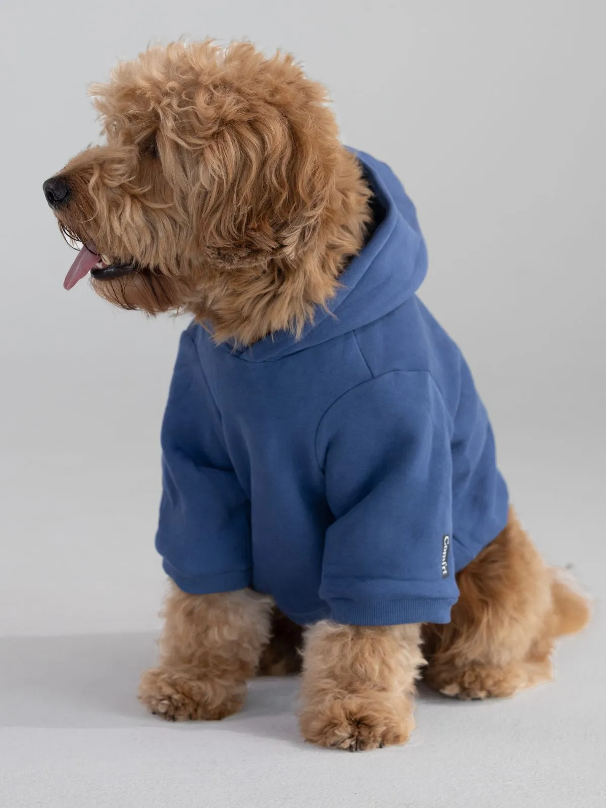 The Standard Paw Hoodie